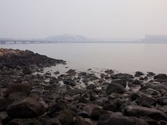 -吴淞炮台湾湿地森林公园烧烤区