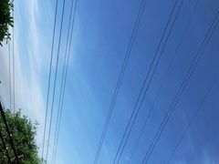 -仙岳公园