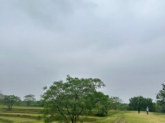 -盘龙城国家考古遗址公园