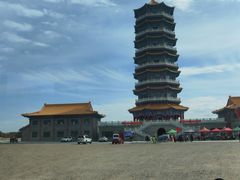 -金塔沙漠胡杨林景区