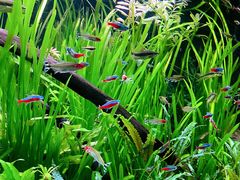 -上海海洋水族馆