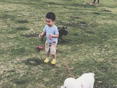 -栖露营camping·天幕烧烤·团建拓展·采摘营地