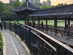 -龙头寺公园