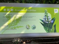 -福田红树林生态公园