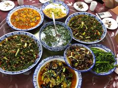 -铁山坪森林公园