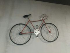 -莱茵体育生活馆