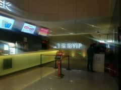 -汉阳天河电影城(王家湾店)