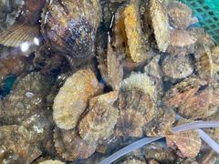 -胖子饺子馆·海鲜家常菜(海军博物馆店)