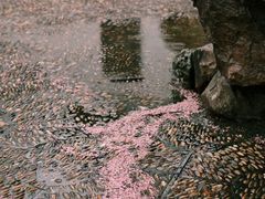 -八大山人梅湖景区