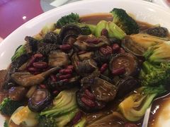 -金满楼(天河中路店)