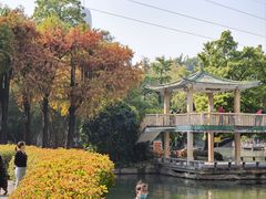 -晓港公园