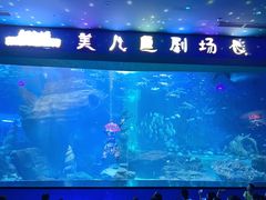 -多彩贵州城极地海洋世界