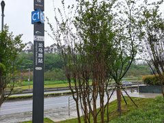-佘记全家福芋儿鸡(向阳街总店)