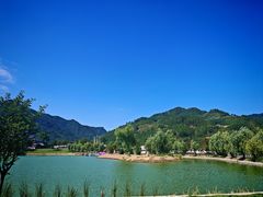 -后柳水乡