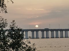 -宝安西湾红树林湿地公园