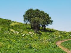 -御道口草原森林风景区