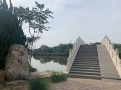 -大港湿地公园