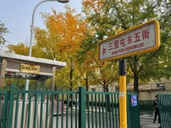 -三里屯东五街银杏大道