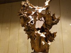 -顺峰(南二环店)