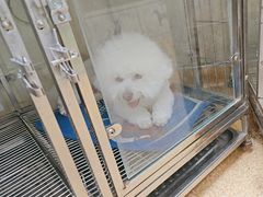 -芭比堂宠物医院·全科爱猫医院·仁德分院