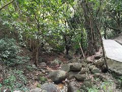 -火炉山森林公园