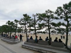-海云台海滩