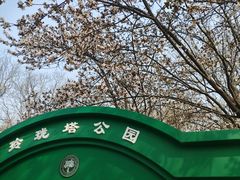 -玲珑塔公园