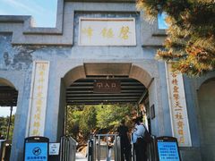 -磬锤峰森林公园