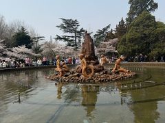 -青岛海滨风景区