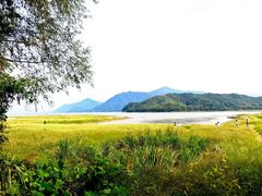 -白鹭湾湿地公园