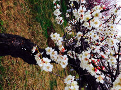 iphone_upload_pic-林屋洞景区