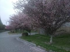-河海大学(江宁校区)
