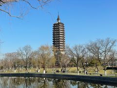 -西海子公园