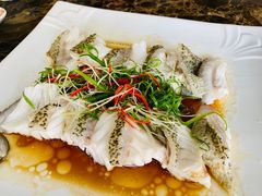 -宜兴隆家宴·私房菜(泰安华庭店)