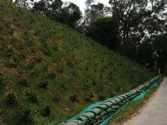 -燕晗山郊野公园
