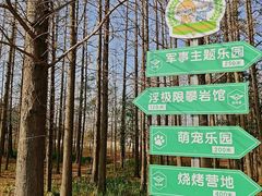 -上海长兴岛郊野公园