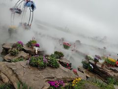 -荷兰花海