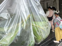-叶婆婆豆浆馍馍