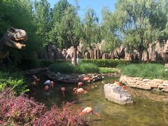 -北京野生动物园