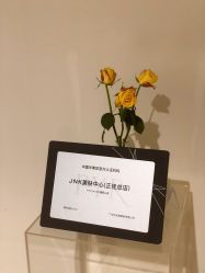 -JNK皮肤管理中心