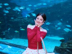 -海合安成都极地海洋公园