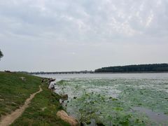 -丁香湖公园