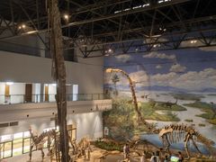 -自贡恐龙博物馆