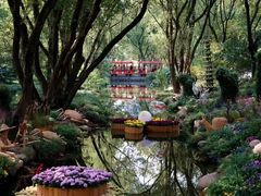 -上海共青森林公园