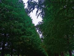 -嘉北郊野公园