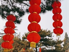 -团结湖公园