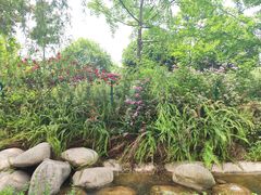 景点-成飞公园