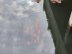 -三国赤壁古战场