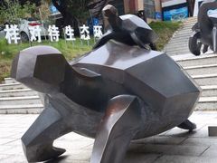 -广东惠东海龟国家级自然保护区