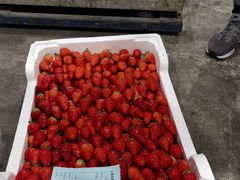 -西郊国际农产品交易中心